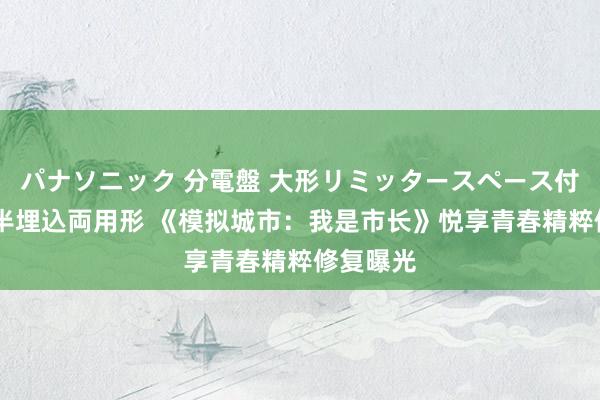 パナソニック 分電盤 大形リミッタースペース付 露出・半埋込両用形 《模拟城市：我是市长》悦享青春精粹修复曝光