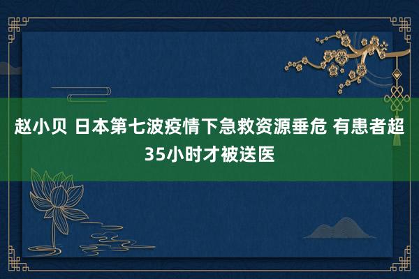 赵小贝 日本第七波疫情下急救资源垂危 有患者超35小时才被送医