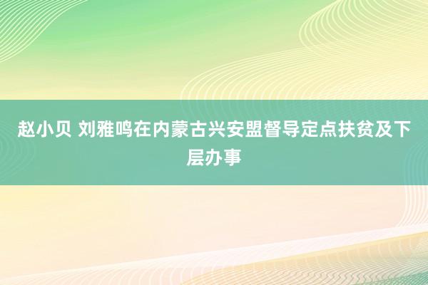 赵小贝 刘雅鸣在内蒙古兴安盟督导定点扶贫及下层办事